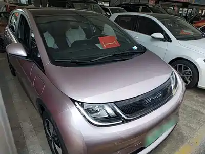 BYD Dolphin 2024