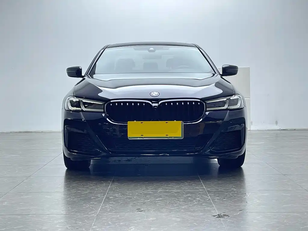 BMW 5 Series New Energy 2022