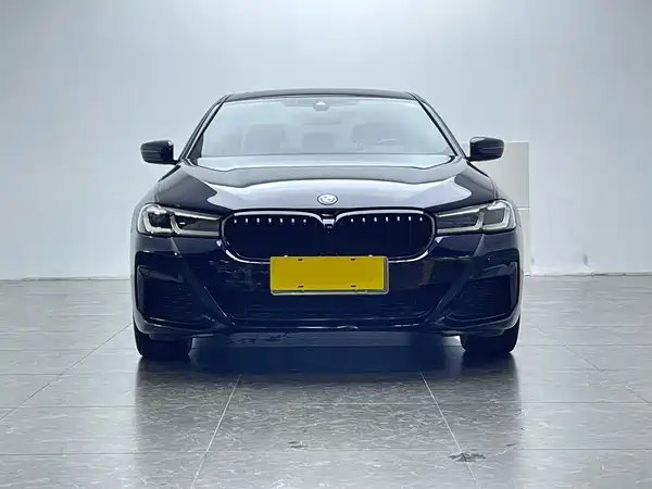 BMW 5 Series New Energy 2022