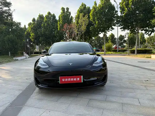 Tesla Model 3 2020