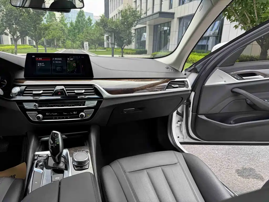 BMW 5 Series 2018 — фото 18