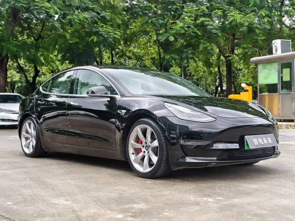 Tesla Model 3 2021 — фото 4