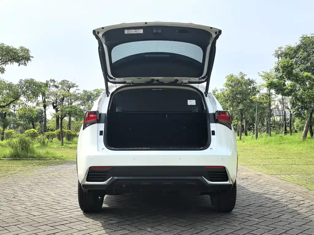 Lexus NX 2021 — фото 10
