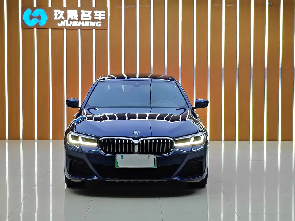 BMW 5 Series New Energy 2021 — фото 2