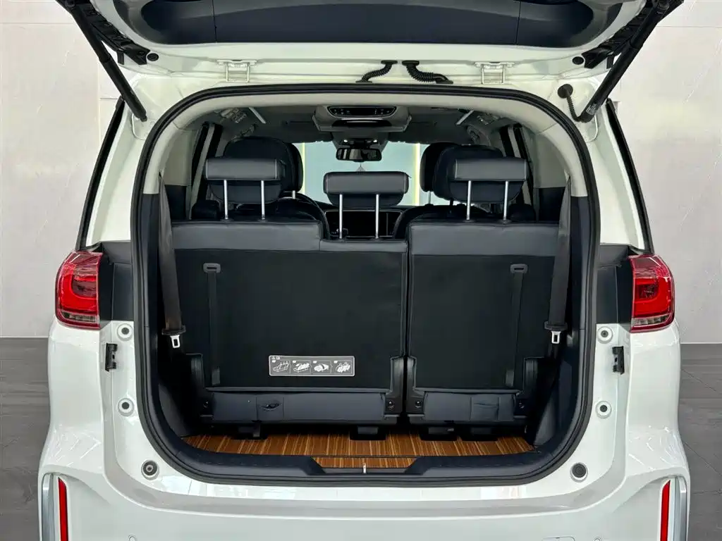 GAC Motor Trumpchi M8 2020 — фото 13