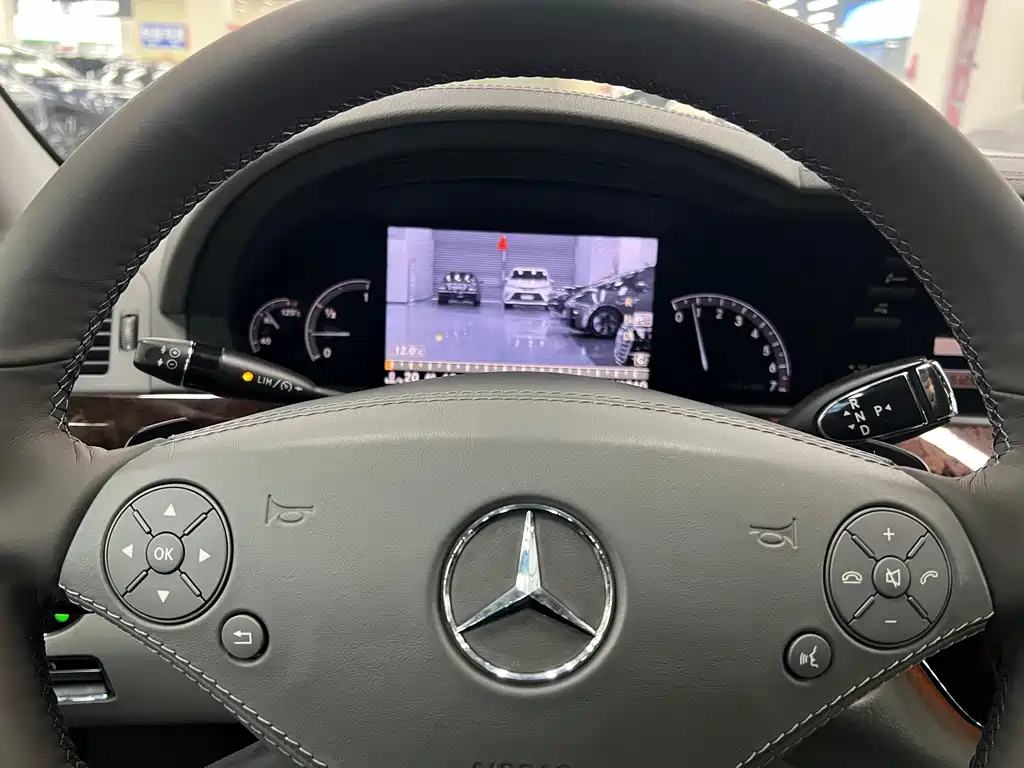 Mercedes-Benz S-Class 2010 — фото 12