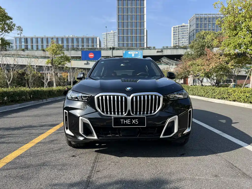 BMW X5 2025 — фото 2