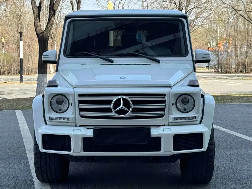 Mercedes-Benz G-Class 2017 — фото 1