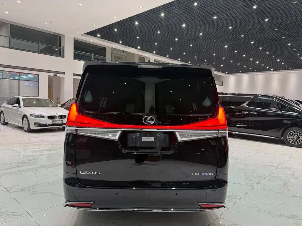 Lexus LM 2023 — фото 15