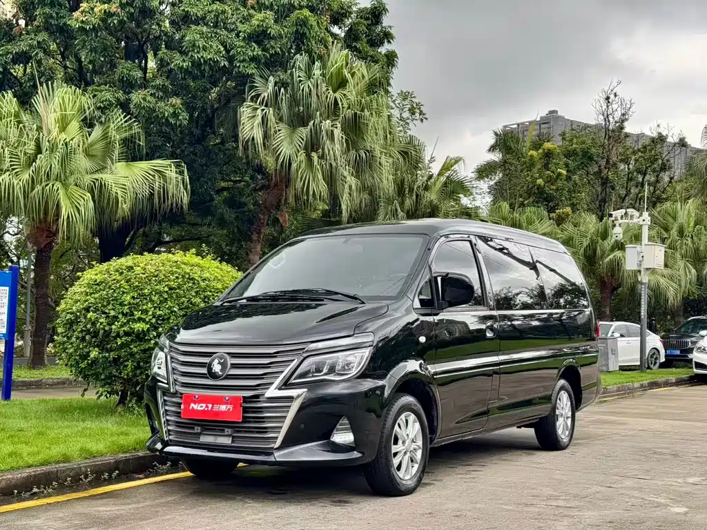 Dongfeng Lingzhi 2024