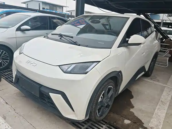 BYD Seagull 2024