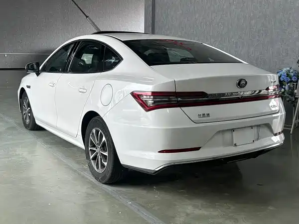 BYD Qin Pro New Energy 2019
