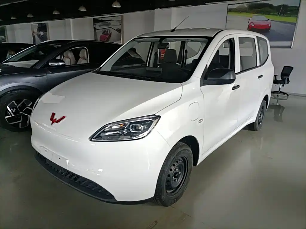 Wuling Hongguang New Energy 2024