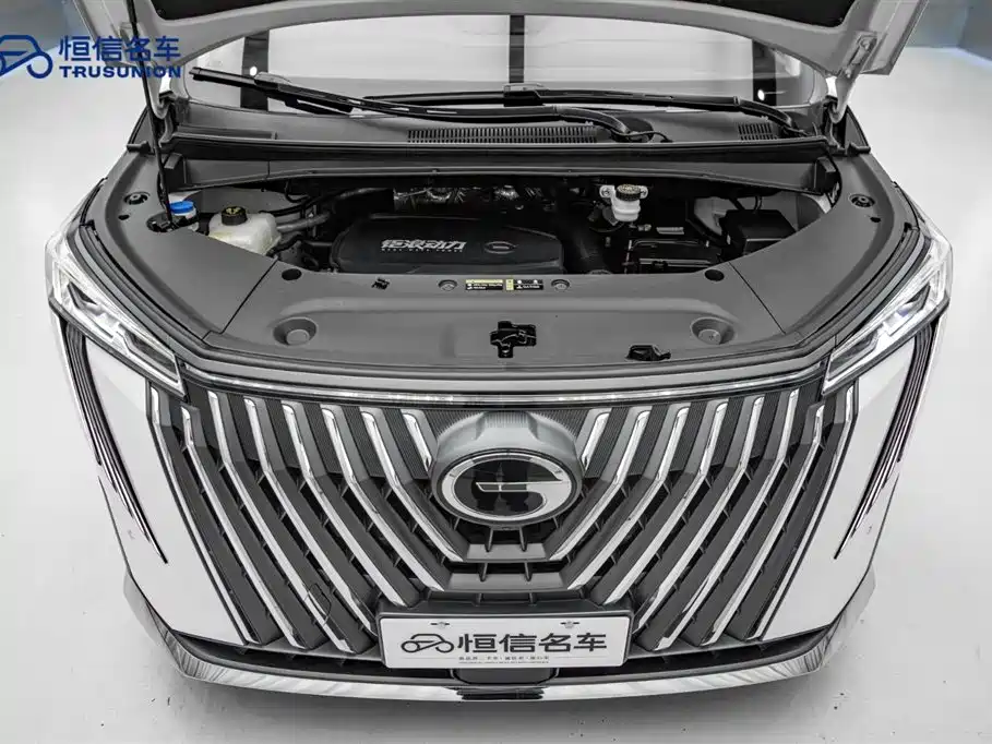 GAC Motor Trumpchi M8 2023 — фото 22