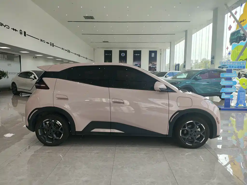 BYD Seagull 2025
