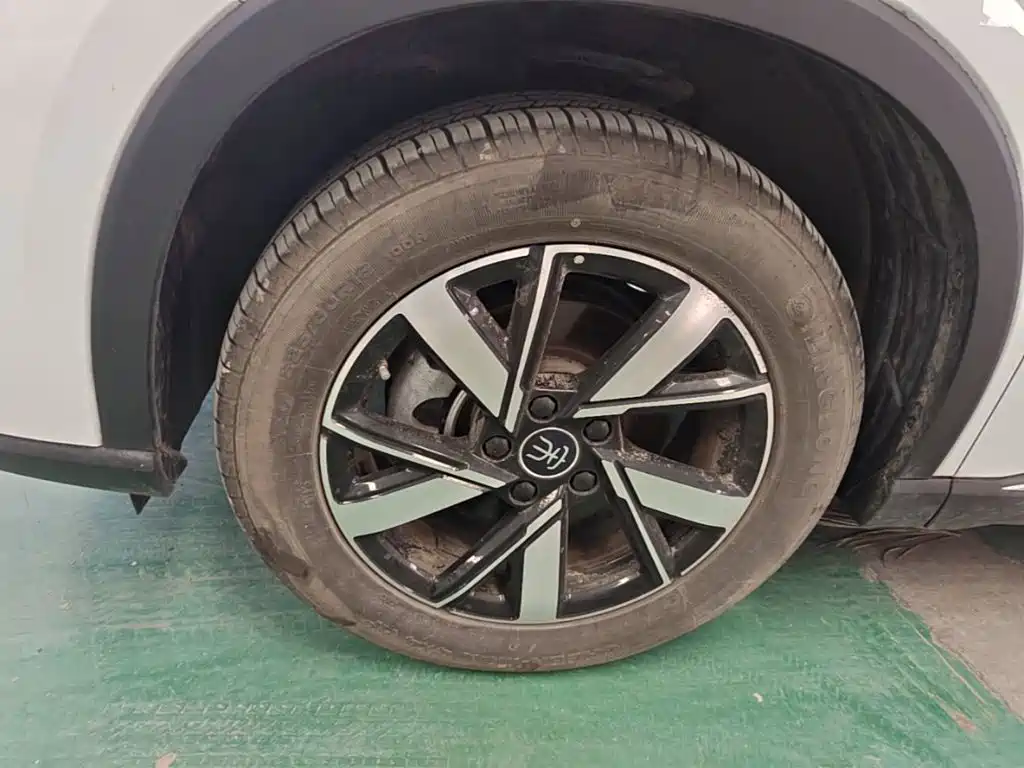 BYD Song Pro New Energy 2024 — фото 23