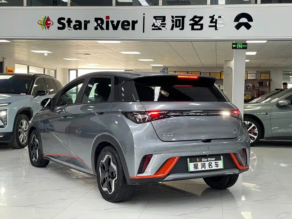 BYD Dolphin 2022