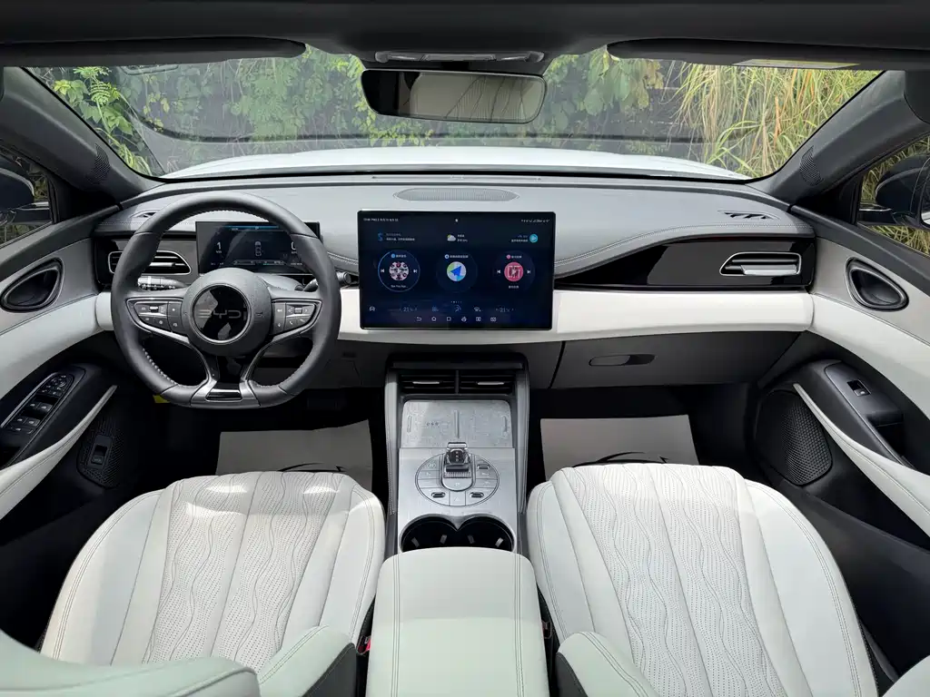 BYD Seal 06 2024 — фото 14