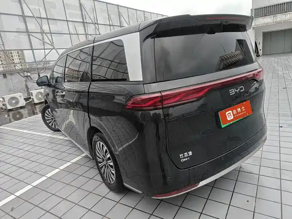 BYD Summer 2025