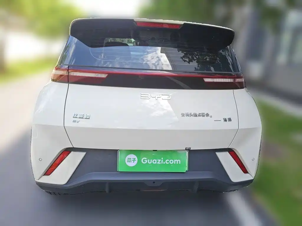BYD Seagull 2024