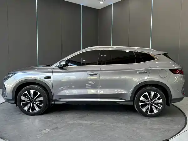 BYD Song PLUS New Energy 2025