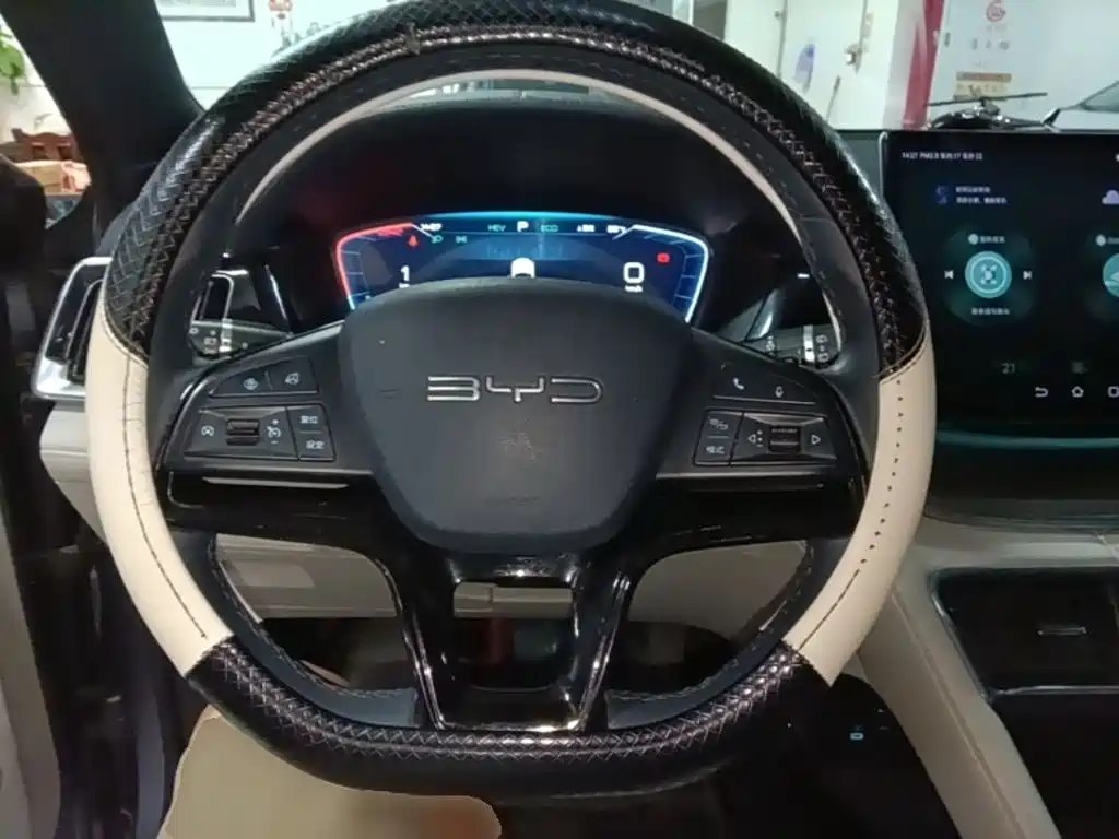 BYD PLUS New Energy 2024 — фото 11