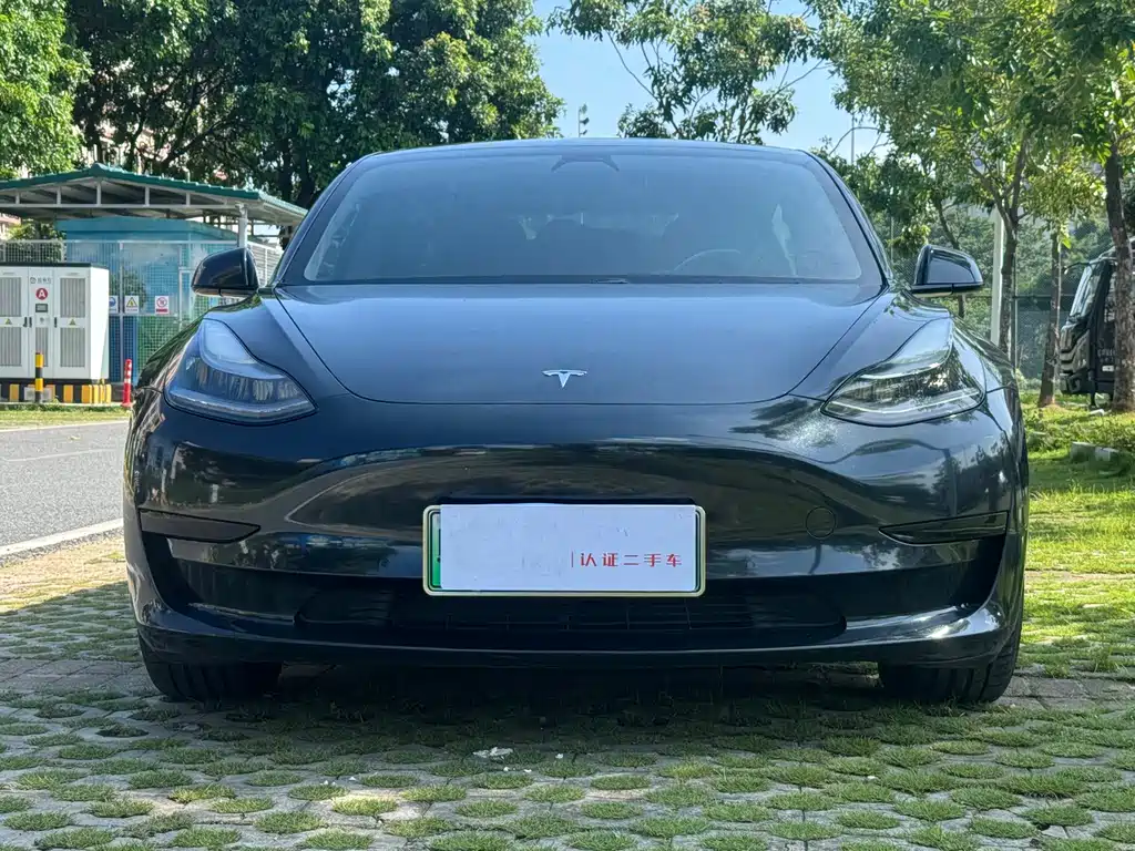 Tesla Model 3 2020 — фото 3