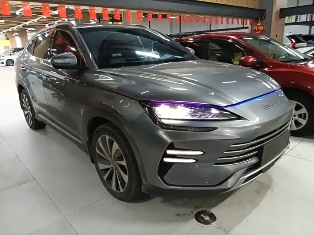 BYD PLUS New Energy 2024 — фото 4