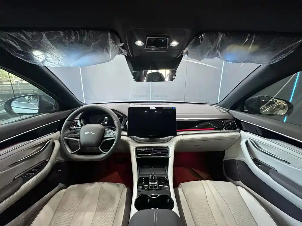 BYD Song PLUS New Energy 2025 — фото 9