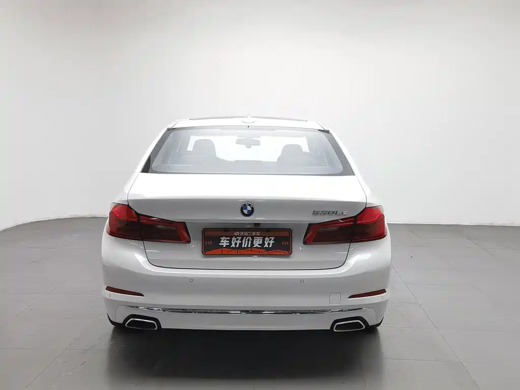 BMW 5 Series New Energy 2020