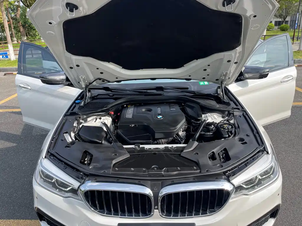 BMW 5 Series 2018 — фото 26