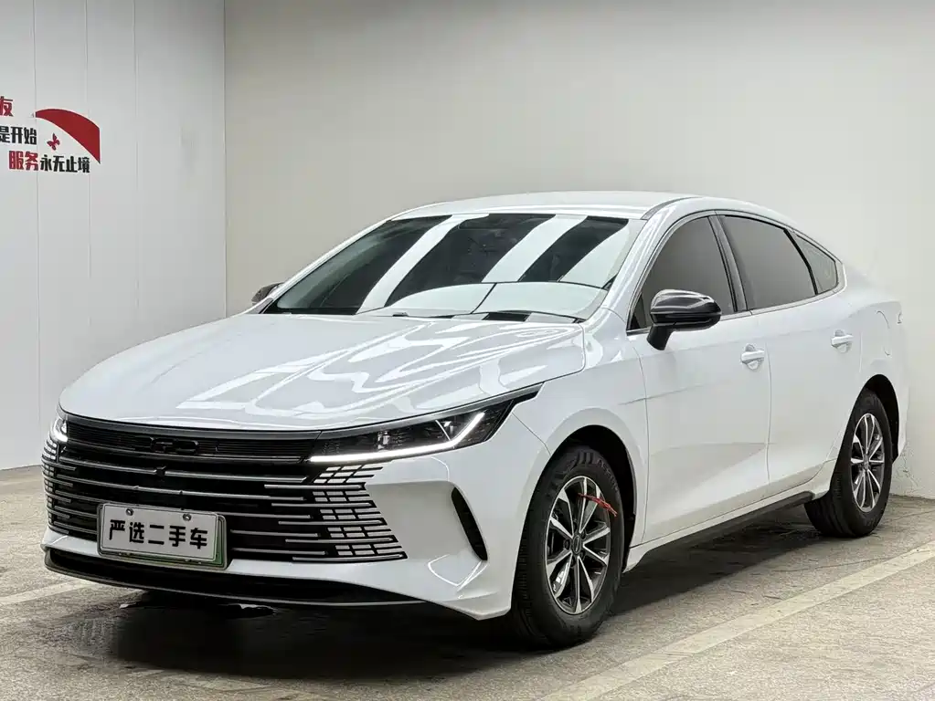 BYD Destroyer 05 2024 — фото 1