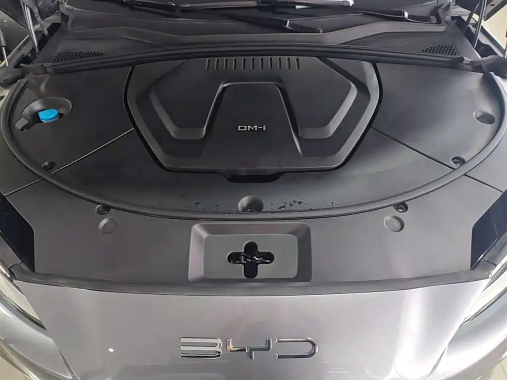 BYD PLUS New Energy 2024 — фото 19