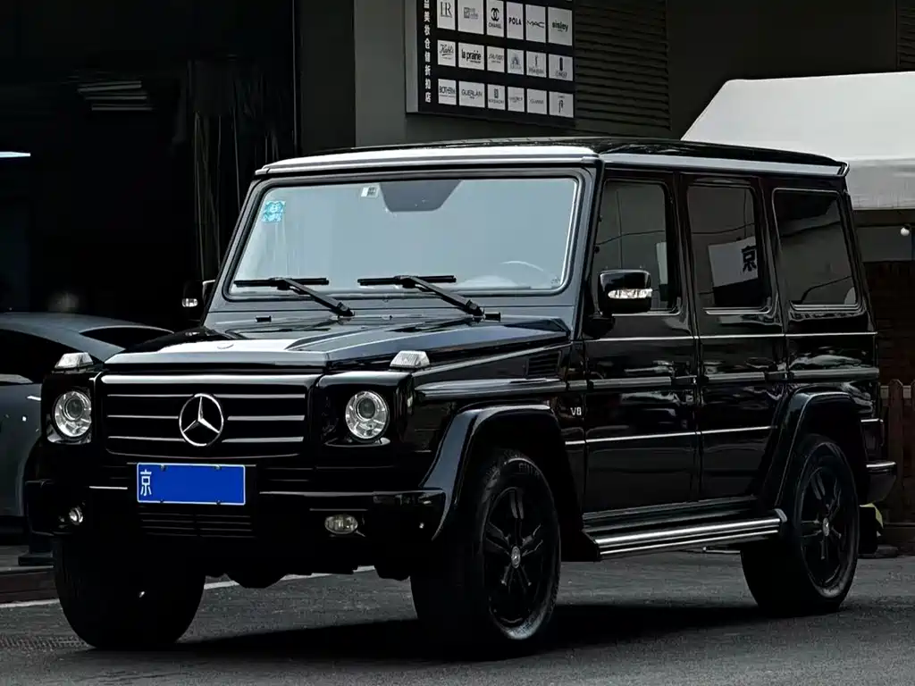 Mercedes-Benz G-Class 2010 — фото 1
