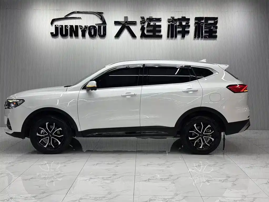Haval H6 2023 — фото 7