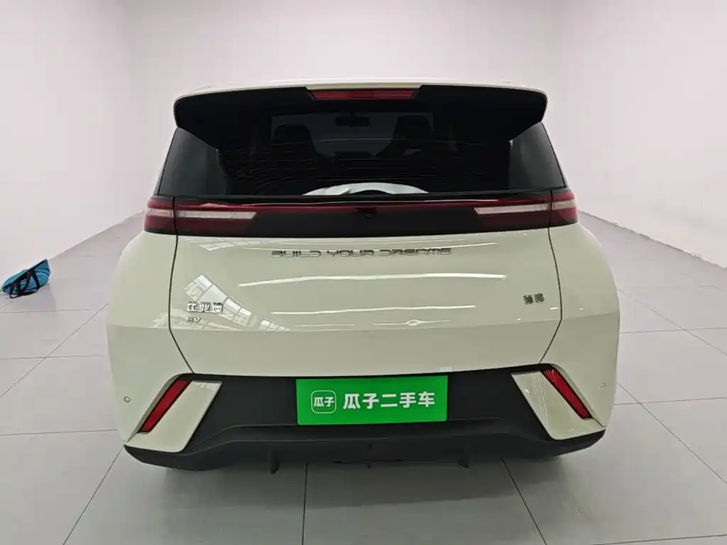 BYD Seagull 2024