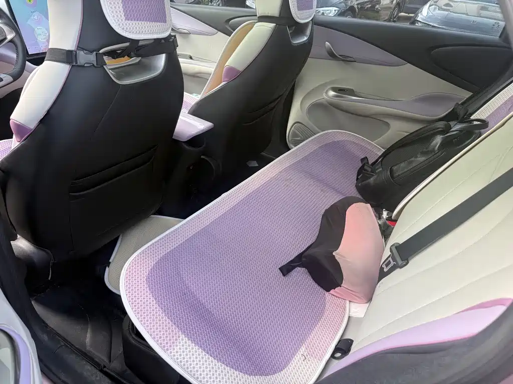 BYD Dolphin 2022