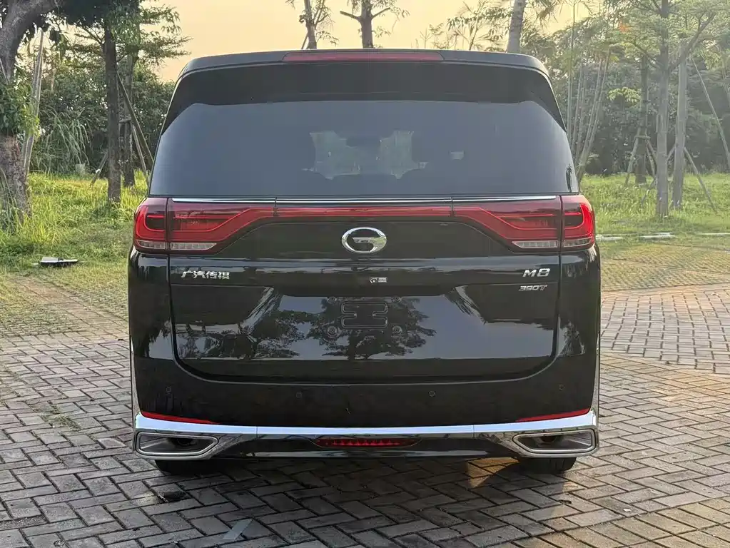 GAC Motor Trumpchi M8 2023 — фото 12