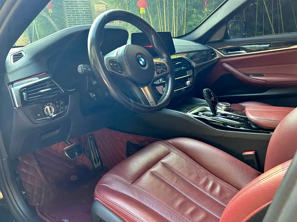 BMW 5 Series 2019 — фото 13