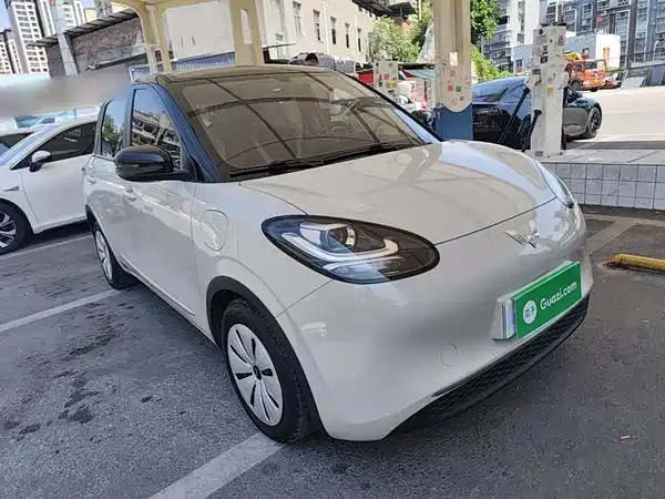 Wuling Bingo 2023
