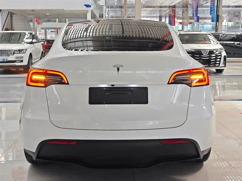 Tesla Model Y 2023 — фото 6