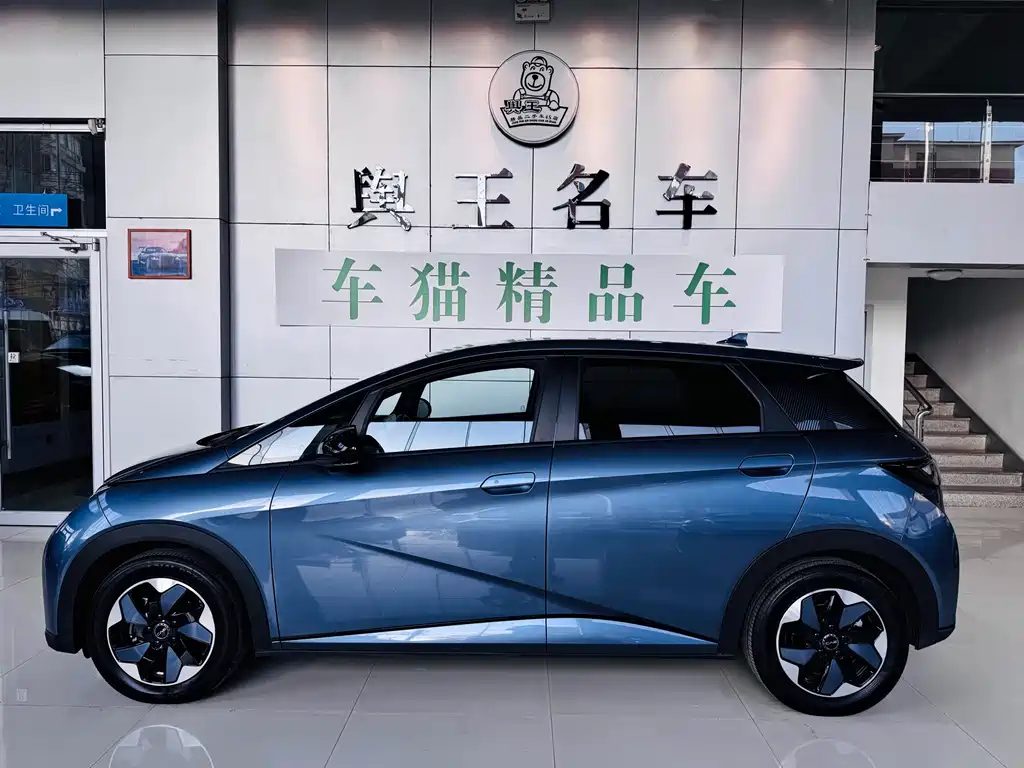 BYD Dolphin 2024