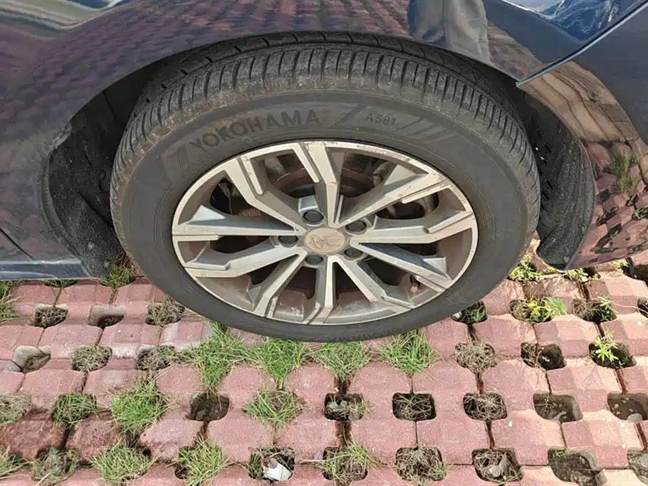 BYD MAX 2019