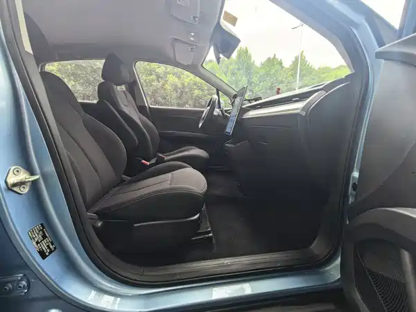 Neta V 2020