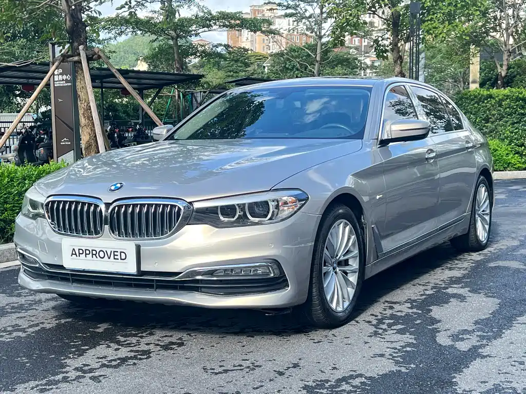 BMW 5 Series 2017 — фото 1