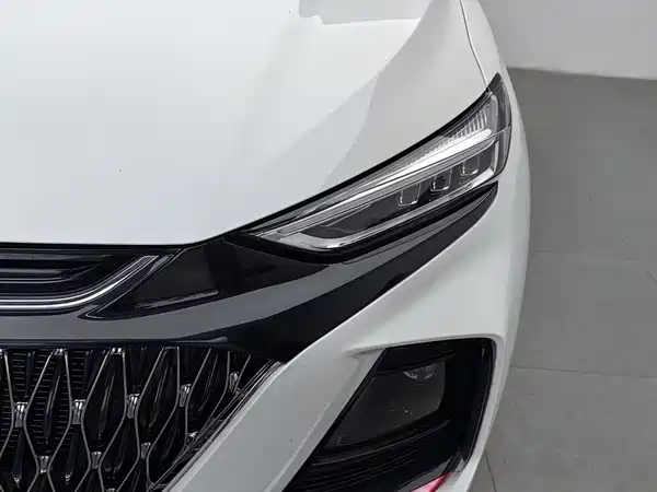 Changan Auchan X7 PLUS 2022