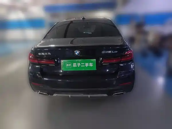BMW 5 Series New Energy 2021