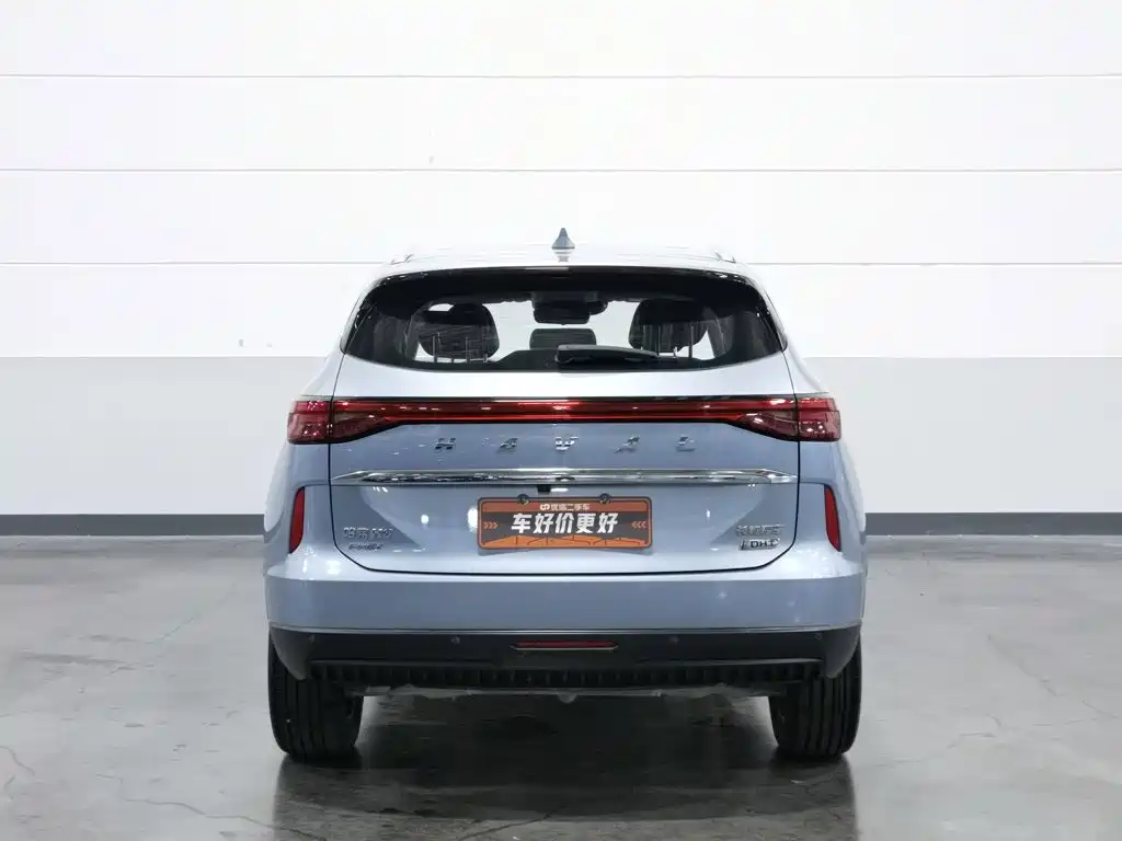 Haval H6 New Energy 2023 — фото 4