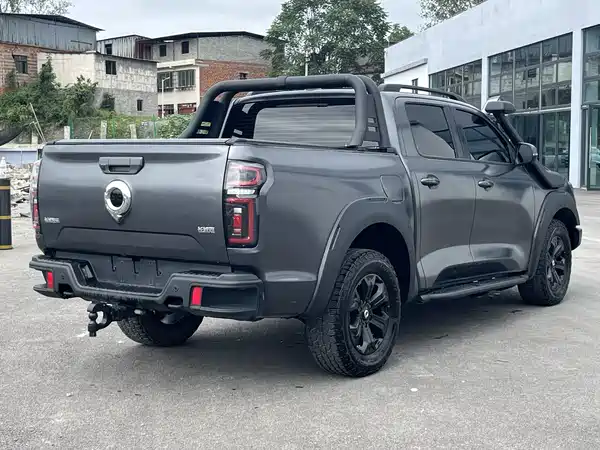 Great Wall Poer 2023