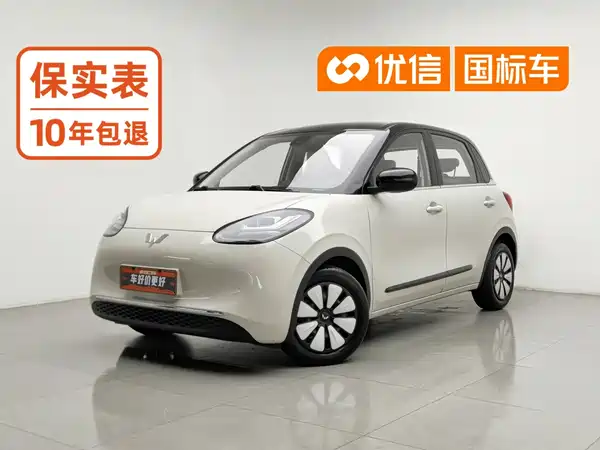 Wuling Bingo 2023